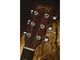 Martin DX1